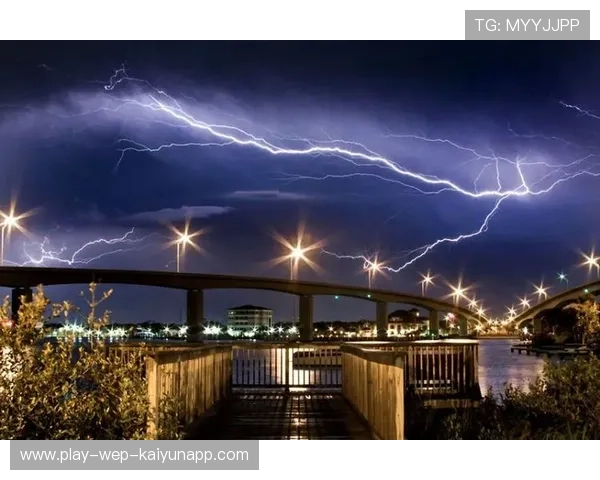 UFC重击爆表，瞬间倒地的震撼瞬间全记录！