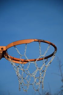 开云体育中国官网-NBA球队球员培养规划设计，nba对球员的要求是什么
